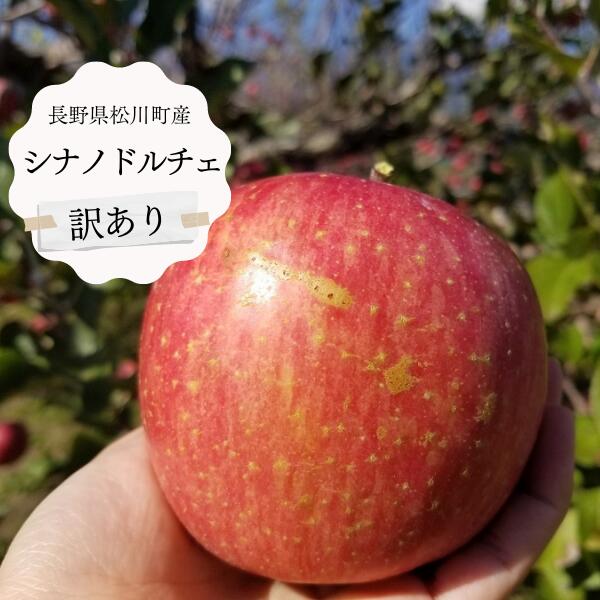 【ふるさと納税】りんご シナノドルチェ【家庭用】約3キロ／9
