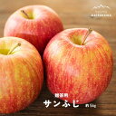 【ふるさと納税】 サンふじ 贈答 約5キロ りんご 長野県 松川町 南信州 KR15