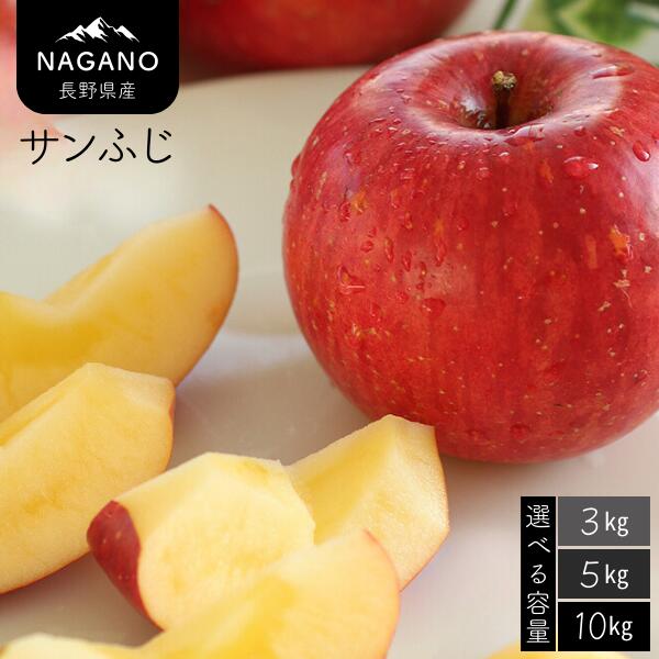 りんご サンふじ(長野県産秀品)約3kg・約5kg・約10kg /11月下旬〜12月中旬頃配送予定 // 長野県 南信州 サンふじ りんご 果物 フルーツ 5kg 10kg MS14 MS15