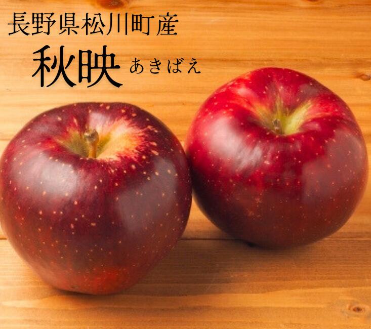 りんご 秋映 贈答 約3キロ/10月上旬頃から発送予定 南信州 長野県 ギフト