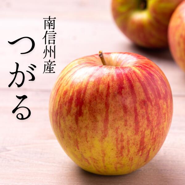 25位! 口コミ数「0件」評価「0」りんご つがる 贈答 約3キロ／8月下旬頃から発送予定 南信州 長野県 ギフト 早生りんご