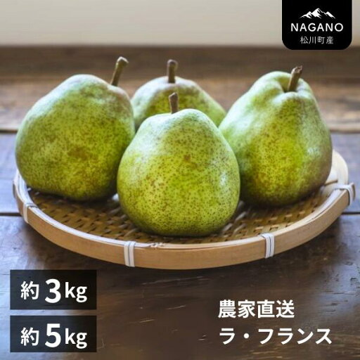 【ふるさと納税】洋梨 ラ・フランス 約3kg or 約5kg 贈答 /10月中旬頃から発送予定 長野県 南信州 ラフランス ギフト 【ふるさと納税】洋梨 ラ・フランス 約3kg or 約5kg 贈答 /10月中旬頃から発送予定 長野県 南信州 ラフランス ギフト