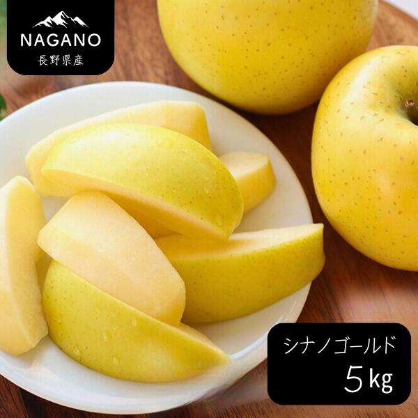 【ふるさと納税】りんご シナノゴールド（長野県産秀品）約5キ