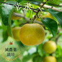【ふるさと納税】梨 幸水 約5キロ 減農薬栽培 秀品/8月中旬頃から配送予定 YN07