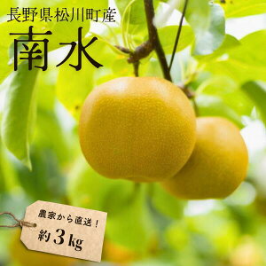 【ふるさと納税】梨 南水 約3kg(6~9玉)松川町産 贈答/9月下旬頃から順次発送予定 // 南信州産 長野県 和梨 なし ナシ 南水 農家直送 農家支援 KW07