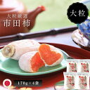 【ふるさと納税】市田柿 大粒2Lサイズ 約170g×4袋/2026年1月中旬~2月上旬ごろ配送 長野県 南信州 干し柿 市田柿 大粒 2Lサイズ 贈答 高糖度 高品質 JA38