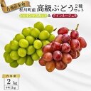 【ふるさと納税】ぶどう2種セット(シャインマスカット/クイーンルージュ®)約2kg/2025年9月下旬頃発送 長野県松川町産 贈答 ギフト 稀少