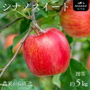 【ふるさと納税】りんご シナノスイート(大玉 or 中玉) 贈答 約5kg/2025年10月中旬頃から発送予定 南信州 長野県 ギフト