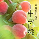 【ふるさと納税】桃 川中島白桃 2.5kg or 4kg以上 長野県松川町産/8月下旬ごろ発送/長野県 南信州 松川町 モモ 贈答 産地直送 新鮮