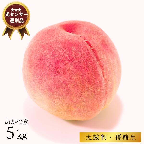 【ふるさと納税】南信州産 桃 あかつき 約5キロ／2025年7月下旬 配送予定 // 長野県 南信州 贈答 ギフト 糖度センサー 光センサー 糖度選別 厳選 もも 5キロ JA03のサムネイル