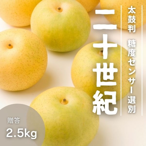 【ふるさと納税】梨 二十世紀梨 約2.5キロ／9月上旬～9月下旬ごろ配送// 糖度センサー選別 厳選 南信州 長野県 和梨 なし ナシ 新鮮 厳選 贈答 JA30のサムネイル