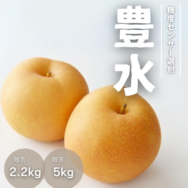 梨 豊水 約2.2kg or 約5kg/9月上旬〜9月下旬ごろ配送// 糖度センサー選別 厳選 南信州 長野県 和梨 なし ナシ 新鮮 厳選 贈答 2kg