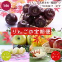 【ふるさと納税】りんごの定期便 りんご三兄弟®(秋映・シナノスイート・シナノゴールド)各2.5キロ×3回 /長野県 オリジナル品種 南信州 贈答 南信州ブランド りんご三兄弟 人気 甘い 濃厚 JA42(4)