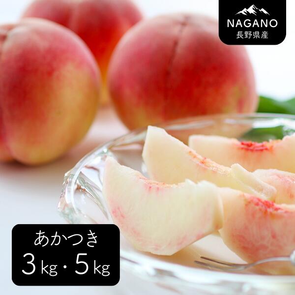 【ふるさと納税】桃 あかつき（長野県産秀品） 約3キロ・ 約5キロ ／7月中旬～8月中旬頃 配送予定 // 長野県 南信州 モモ 贈答 秀品 産地直送 もも 甘い MS26 MS27のサムネイル