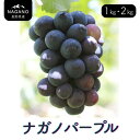 【ふるさと納税】ぶどう ナガノパープル (長野県産秀品) 約1キロ・ 約2キロ /8月下旬~9月下旬頃 配送予定 // 種なし 皮ごと 葡萄 ブドウ ぶどう ナガノ パープル 南信州 長野県 オリジナル品種 稀少 ぶどう三姉妹 MS32 MS33