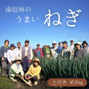 【ふるさと納税】土付きねぎ 約3キロ /2025年12月中旬~2026年2月上旬頃配送予定 // 長野県 南信州産 野菜 信州野菜 新鮮 長ネギ ネギ 長ねぎ 白ねぎ 白ネギ JA24