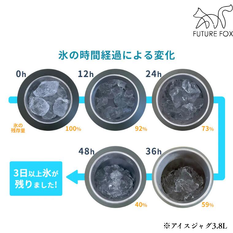 【ふるさと納税】キャンプ アウトドア FUTURE FOX (フューチャー フォックス) アイスジャグ 1.9L or 3.8L (FF18-01～02)
