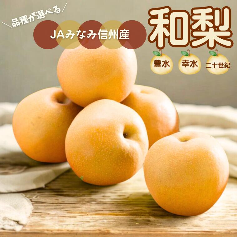 *2026年度発送* 梨 先行予約 幸水・豊水・二十世紀 選べる品種// なし ナシ 長野 和梨 フルーツ ギフト くだもの 果物 新鮮 南水 新甘泉 甘太 糖度センサー 厳選 南信州 長野県 厳選 贈答