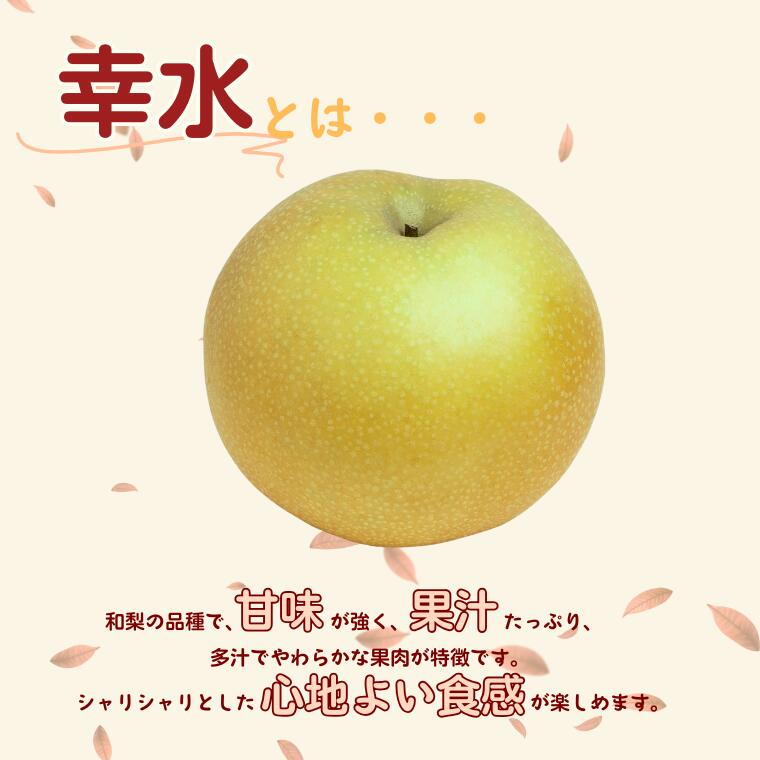 長野県松川町の画像2