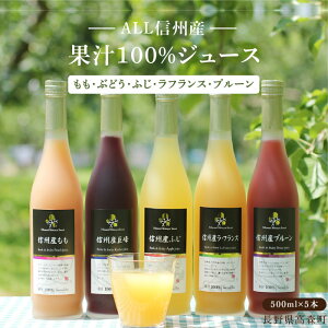 【ふるさと納税】長野・信州産 果汁100％ くだものジュース500ml×5本（りんご・もも・ぶどう・ラフランス・プルーン）（通年提供可）