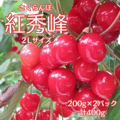 南信州高森産さくらんぼ 紅秀峰2L 400g【配送不可地域：北海道,沖縄,離島】