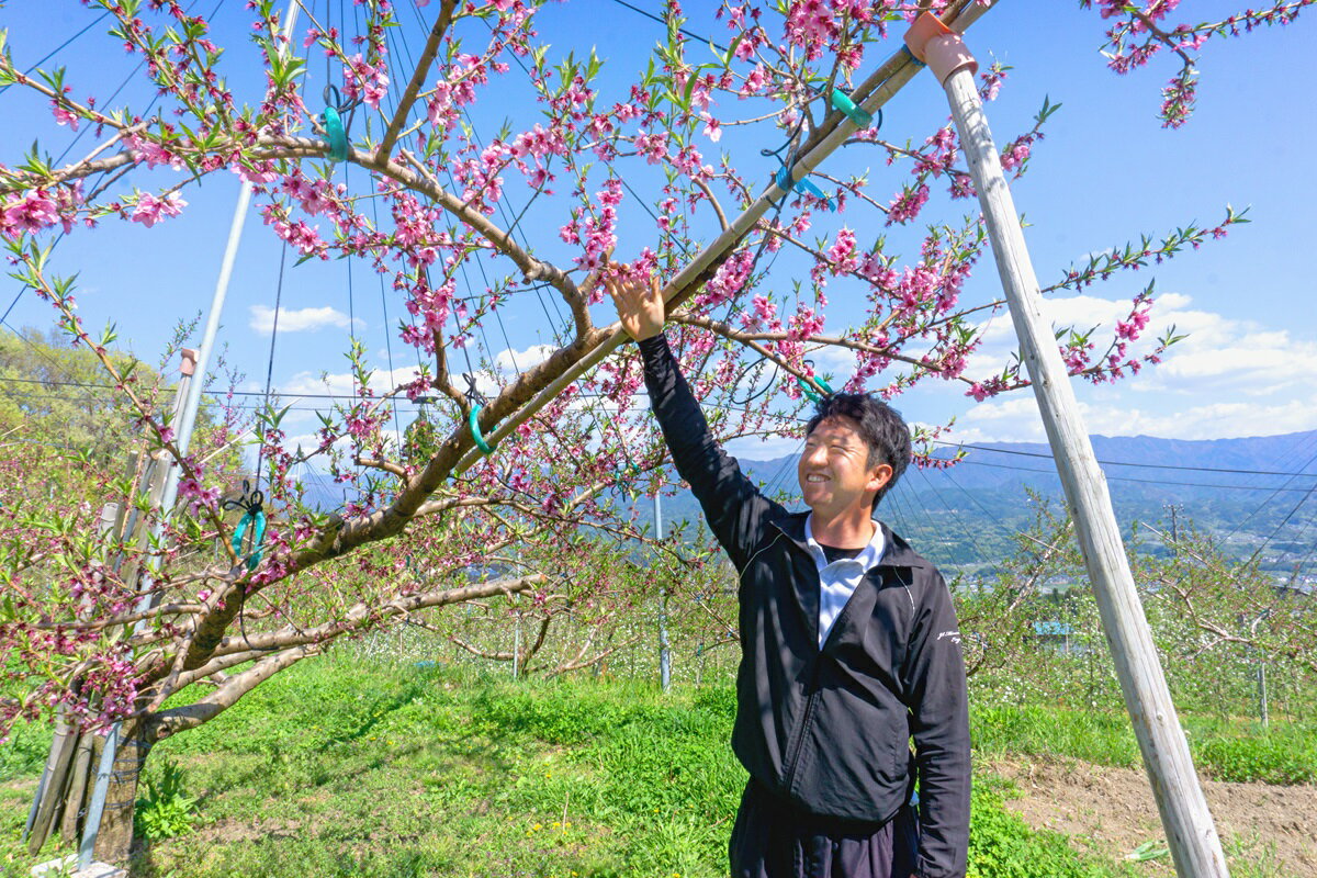 長野県高森町の画像2