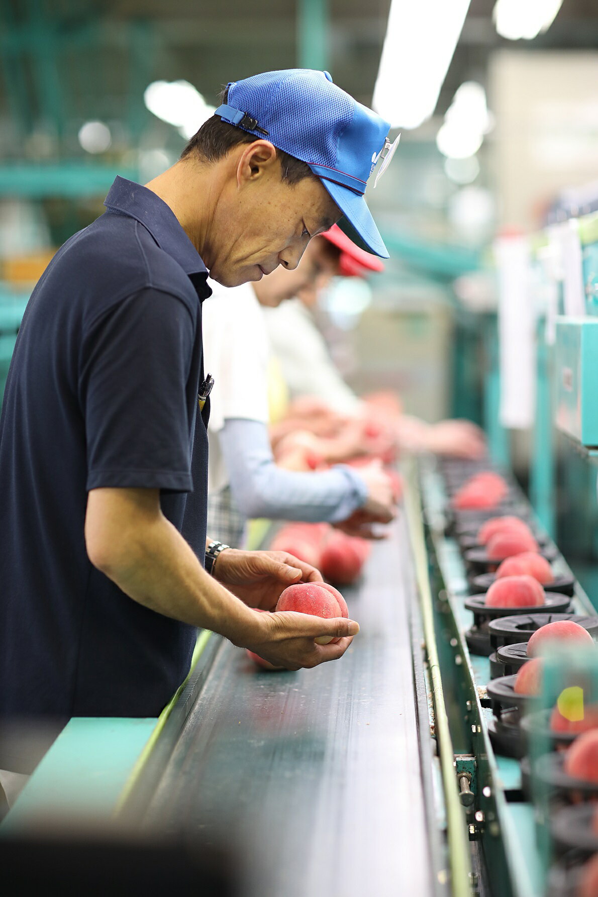 長野県高森町の画像3