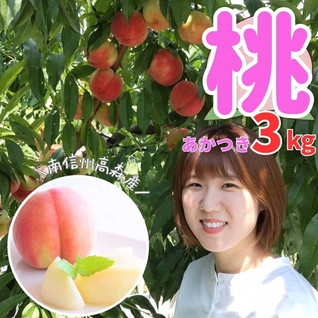 【ふるさと納税】桃 あかつき 3kg(7~10個)<7月下旬より発送>【配送不可地域:離島】