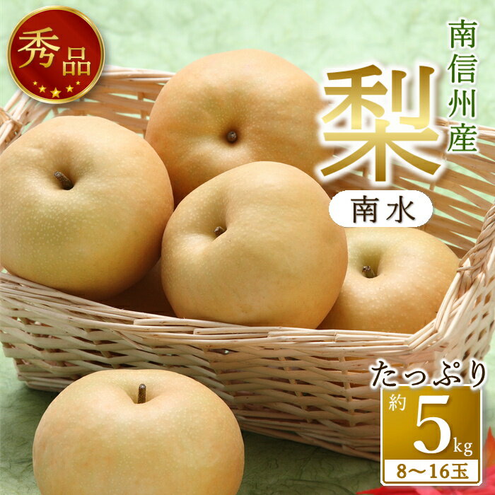 【ふるさと納税】【南信州産】　南水　秀品約5kg（8玉〜16