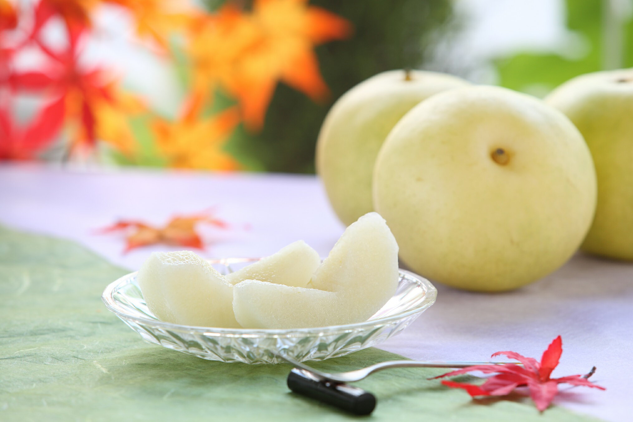 【ふるさと納税】【南信州産】梨「二十世紀」秀品約5kg（8玉〜16玉） 2026年9月上旬より発送 長野県 信州 高森町 産地直送 果物 くだもの なし ナシ 和梨 旬 旬の果物 旬の梨 ギフト 贈答 JAみなみ信州【配送不可地域：離島】