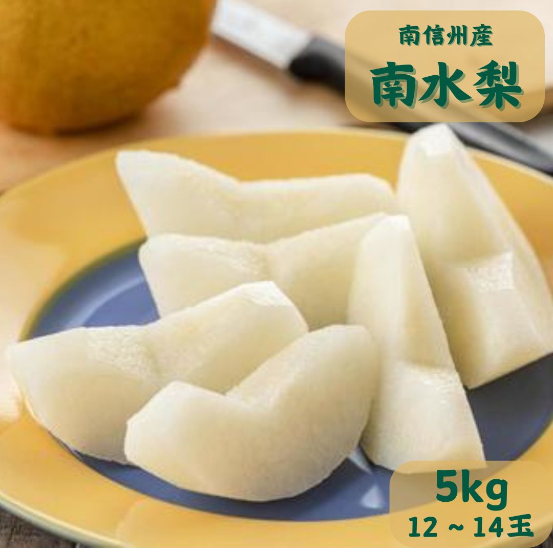 【ふるさと納税】【南信州産】南水梨5kg　12～14玉入り【