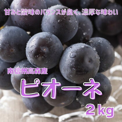 【南信州高森産】ピオーネ約2kg【配送不可地域：離島】