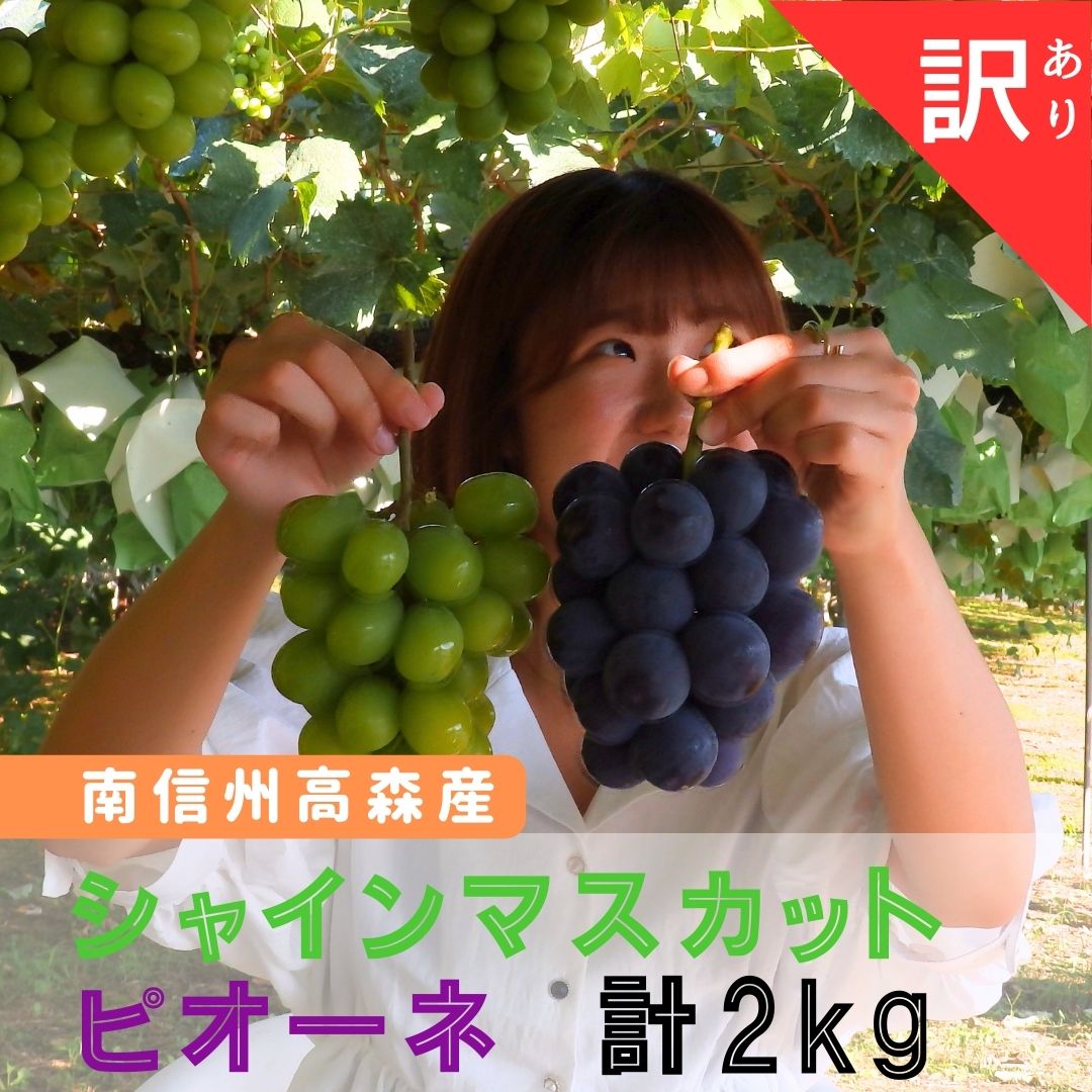 【ふるさと納税】ピオーネとシャインマスカットセット　訳あり2kg（3～6房）【配送不可地域：離島】のサムネイル