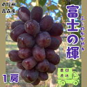 7位! 口コミ数「0件」評価「0」【南信州高森産】希少ぶどう 富士の輝　1房【配送不可地域：離島】