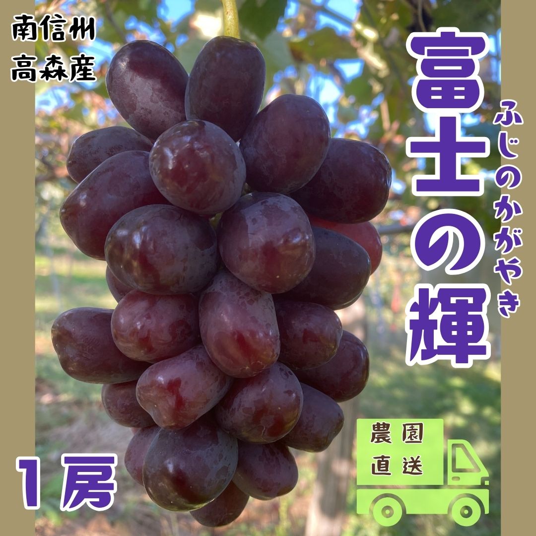 【ふるさと納税】【南信州高森産】希少ぶどう 富士の輝 1房【配送不可地域:離島】