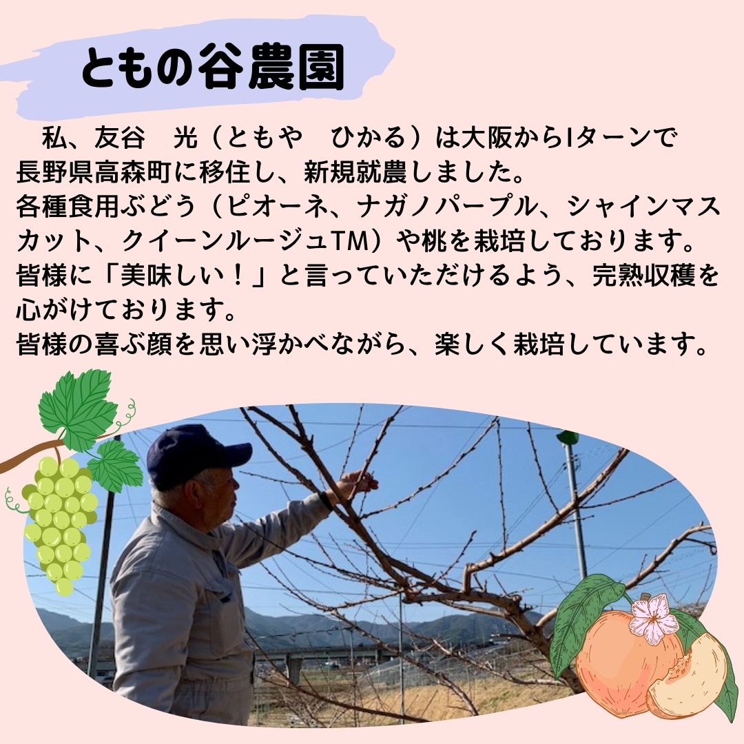 【業務用】土佐小夏まるごとしぼり果汁2リットルパック【クール便：冷凍】