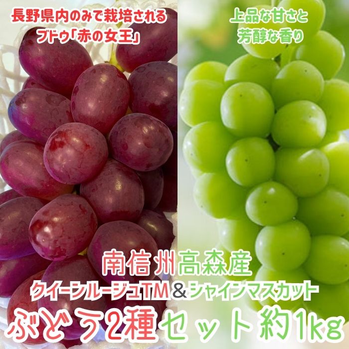 クイーンルージュTM&シャインマスカットぶどう2種セット約1kg[2025年9月中旬より発送][配送不可地域:離島]