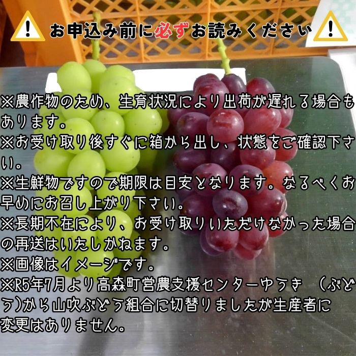 【ふるさと納税】クイーンルージュTM＆シャインマスカットぶどう2種セット約1.2kg 2026年9月中旬より発送 長野県 信州 南信州 高森町 農家直送 果物 くだもの ぶどう 旬のぶどう 山吹ぶどう狩り組合【配送不可地域：離島】
