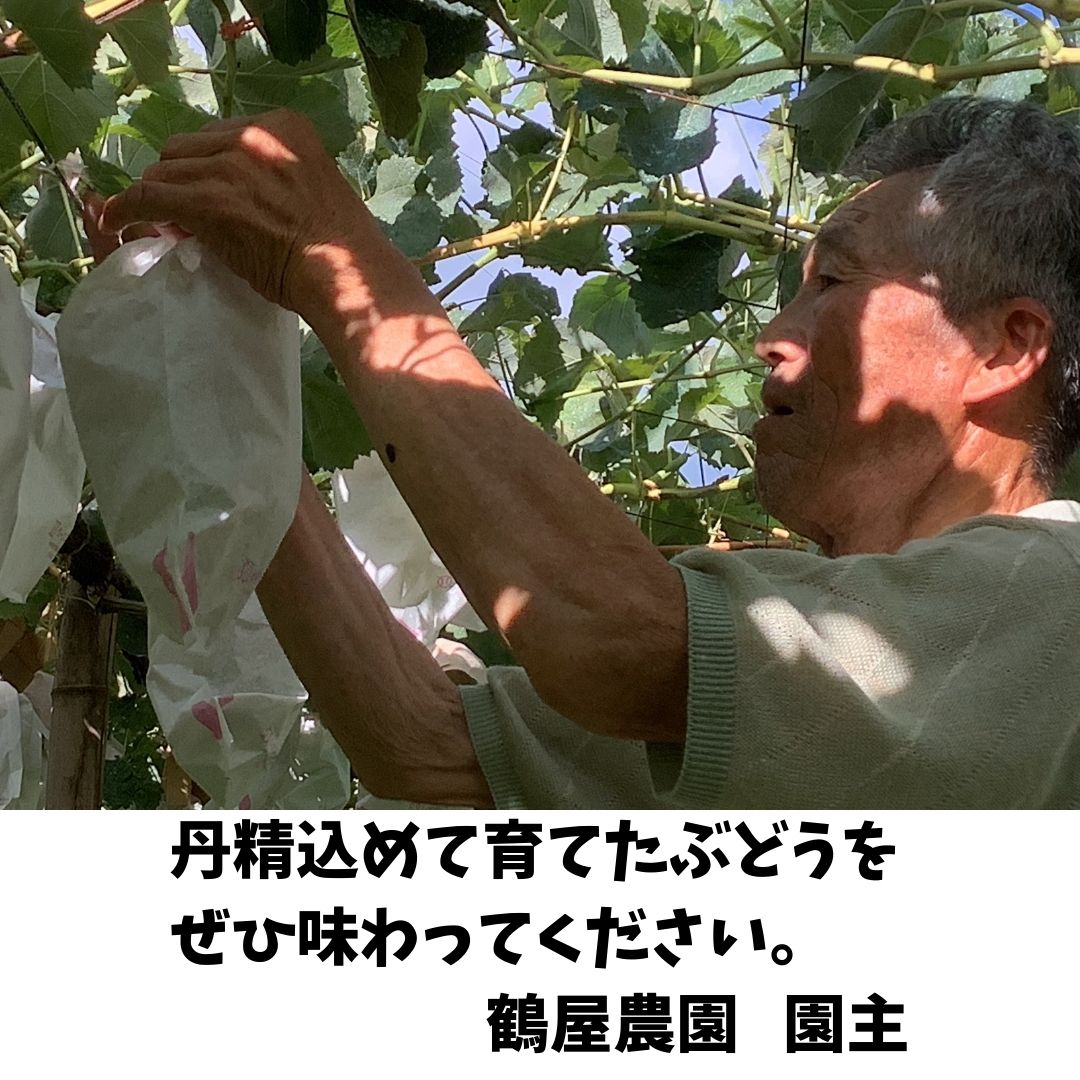 【ふるさと納税】【南信州高森産】訳ありシャインマスカット　4房【配送不可地域：離島】