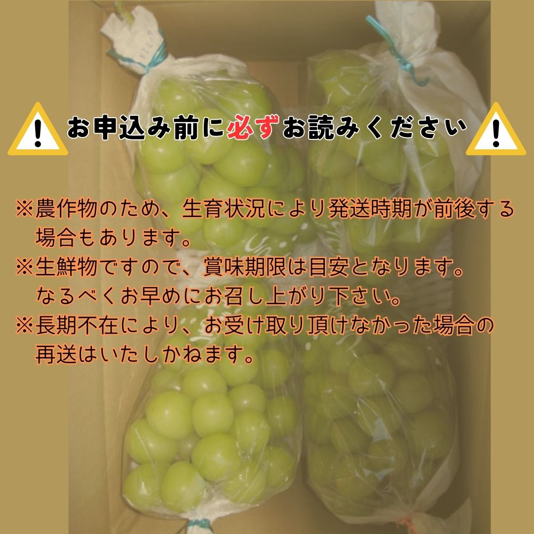 【ふるさと納税】【南信州高森産】訳ありシャインマスカット　4房【配送不可地域：離島】