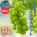 【ふるさと納税】【南信州高森産】訳ありシャインマスカット 2房【配送不可地域:離島】