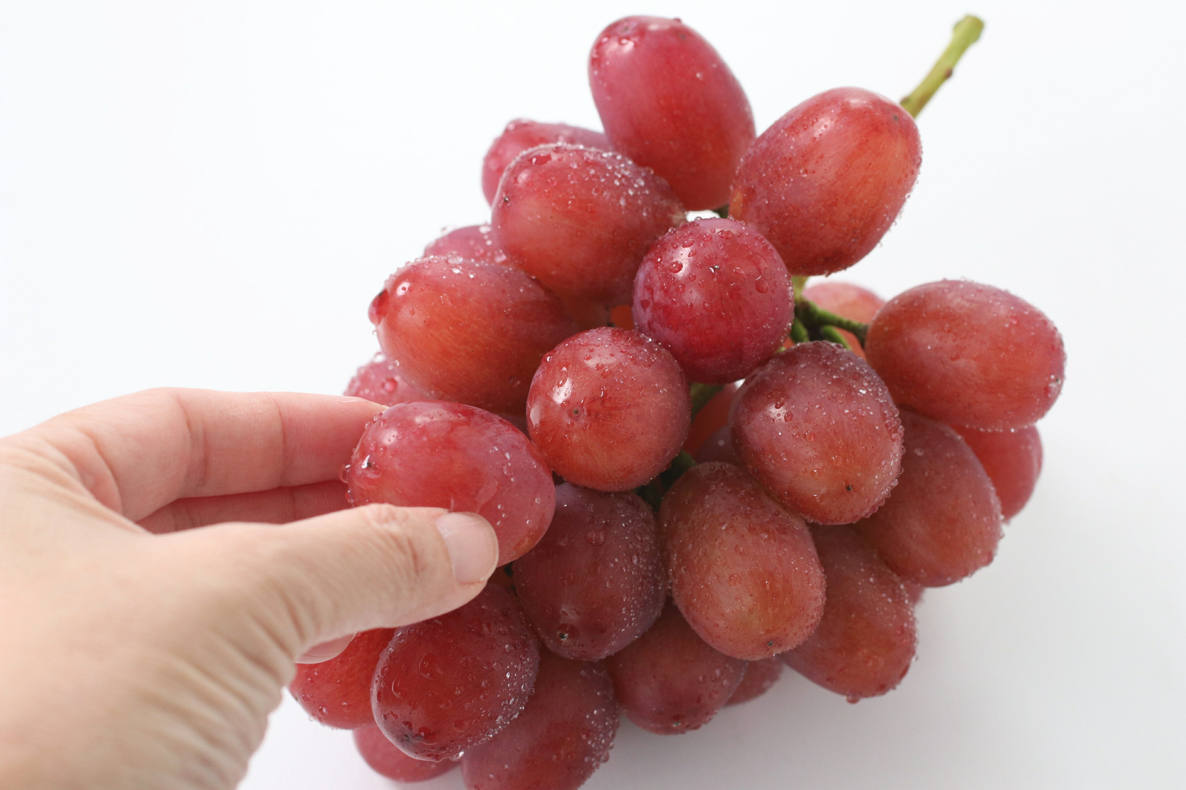 長野県高森町の画像2