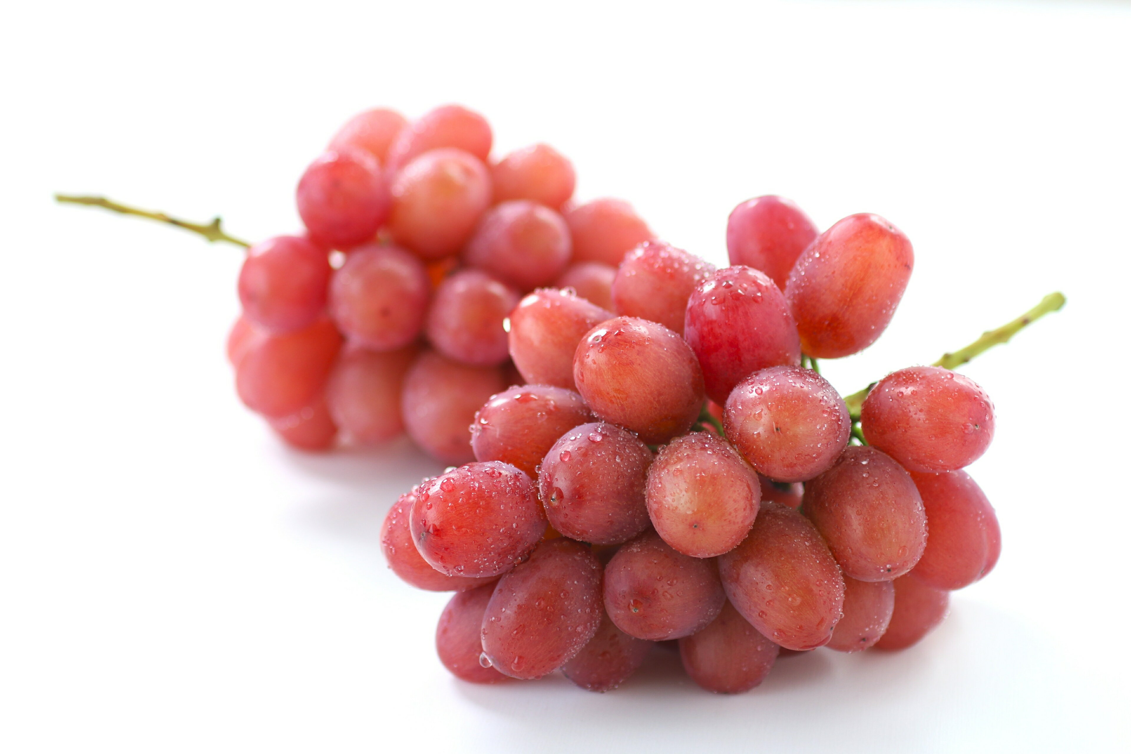 長野県高森町の画像3