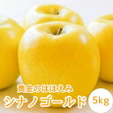 【ふるさと納税】【南信州高森産】黄金のほほえみシナノゴールド5kg 秀<10月下旬発送>(4)