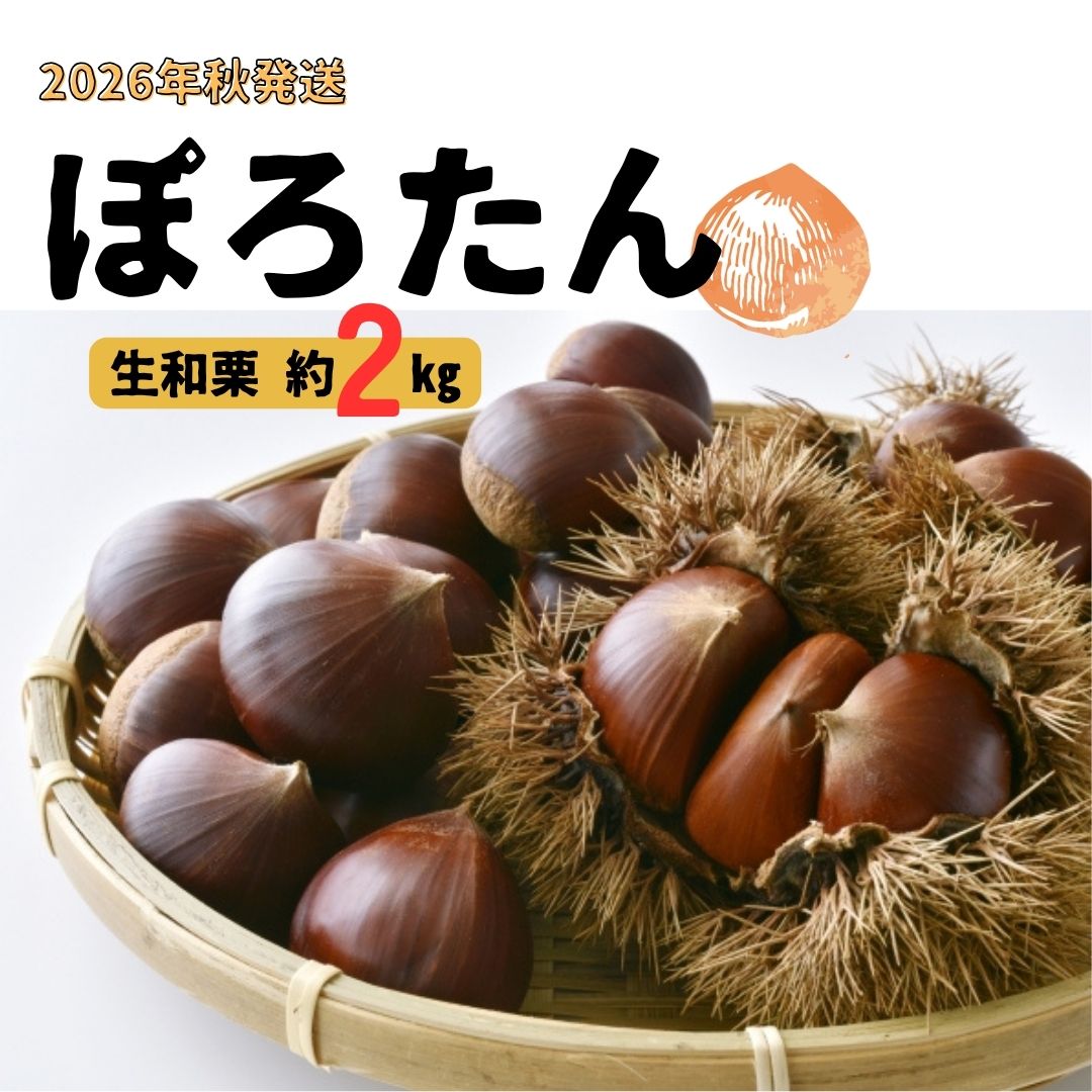 7位! 口コミ数「1件」評価「5」生栗「ぽろたん」約2kg 2026年9月中旬発送 長野県 信州 南信州 高森町 くり クリ 和栗 中平農園【配送不可地域：離島】