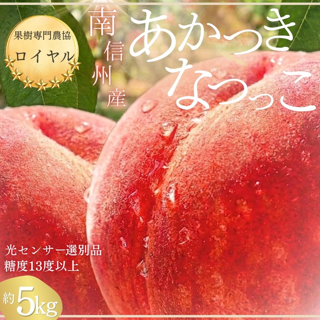 南信州産「桃」 約5kg 12〜18玉 光センサー選別 糖度13.0以上[2027年7月下旬〜発送][配送不可地域:沖縄・離島]