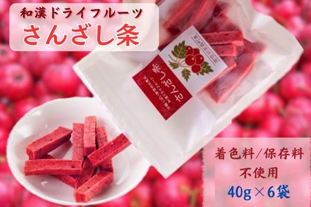 20位! 口コミ数「0件」評価「0」和漢ドライフルーツ「さんざし条」40g×6袋【配送不可地域：離島】