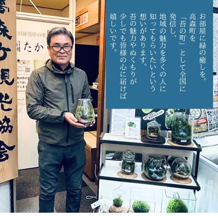 【ふるさと納税】苔テラリウム 長野県 信州 南信州 高森町 苔 緑 癒し こけ コケ ...