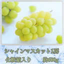 【ふるさと納税】【南信州高森産】旬のシャインマスカット1房(約600g) 9月下旬より発送 長野県 信州 農家直送 果物 くだもの ぶどう 旬のぶどう シャイン 化粧箱 ギフト 贈答【配送不可地域:離島】