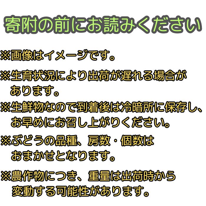 (地域限定送料無料)業務用 (単品) グリーンフィールド フルーツブルーベリー（ホール） 500g　　4袋(計4袋)(冷凍)(295042000sx4k)
